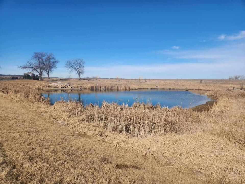 Willow Pond Work on Horizon for County Conservation - NewsBreak