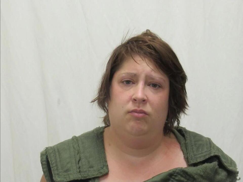 Police: Pocatello woman arrested for biting officer during disturbance ...