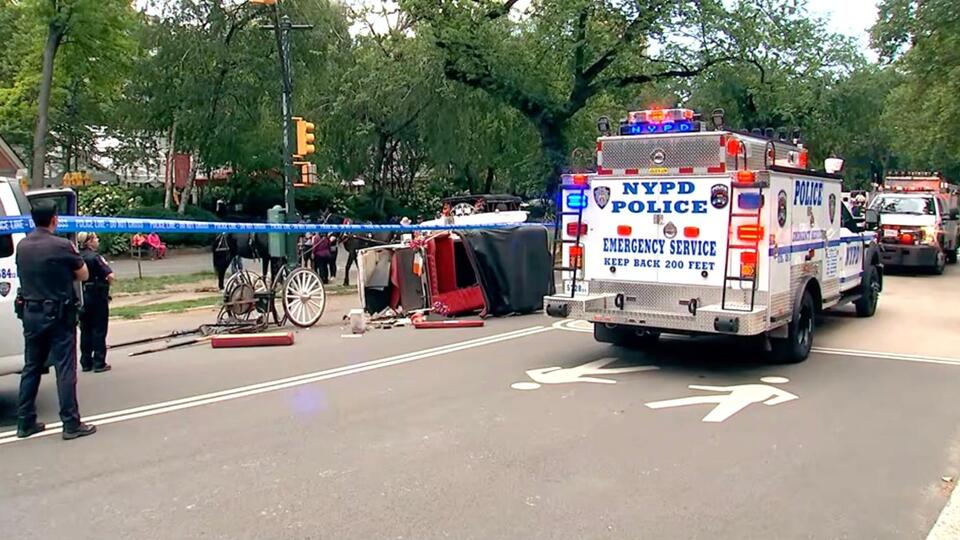 18-year-old tourist dies after falling from runaway Central Park horse carriage