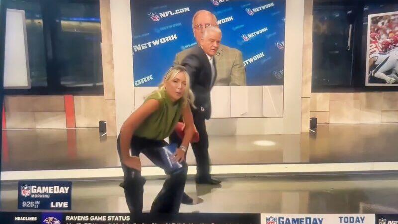 NFL Network’s Colleen Wolfe Risked a Serious Wardrobe Malfunction ...