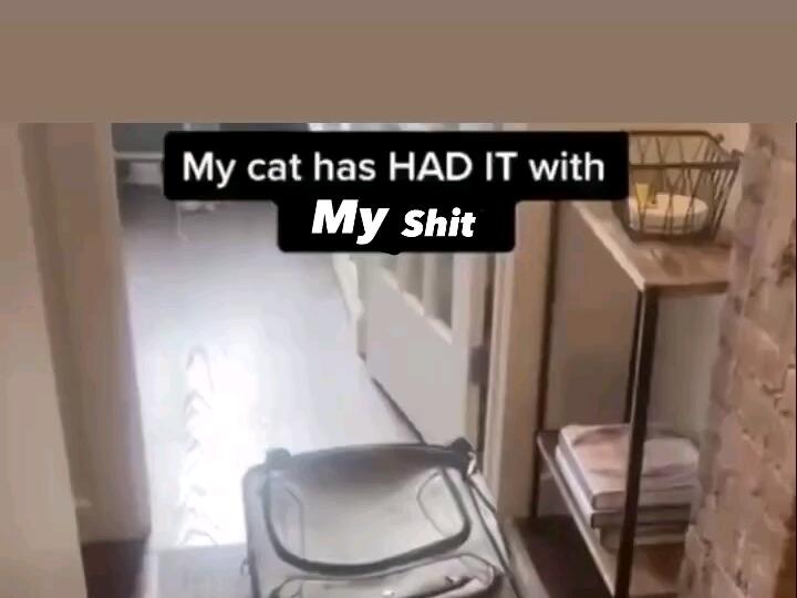 Fed up !! Tiffani chavez NewsBreak Original