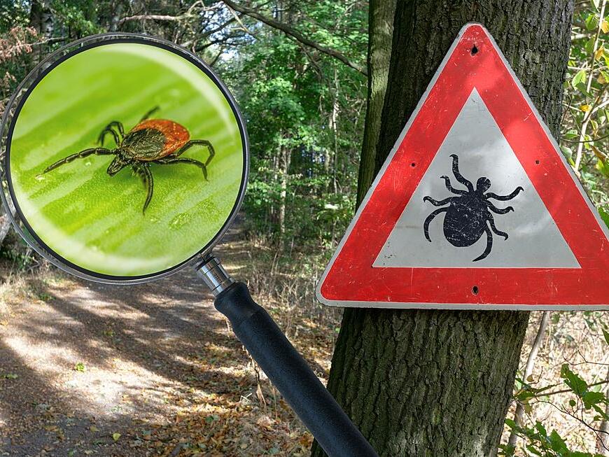 Lyme Disease on the Rise in Indiana Department of Health Warns to