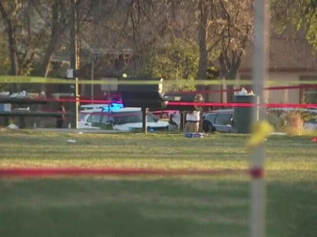 Denver youth violence expert shares concerns about recent fatal ...