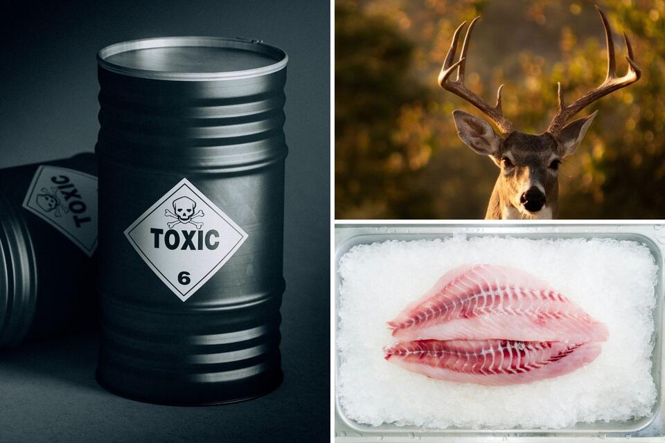Deer & Fish Off Limits In One Michigan County, Warning Issued - NewsBreak