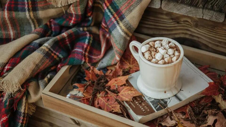 Fall Essentials: Hot Spots, Makeup, Sweaters and More - NewsBreak