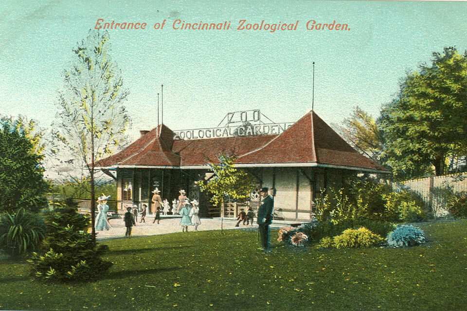 A Timeline of 150 Years of Zoo History - NewsBreak