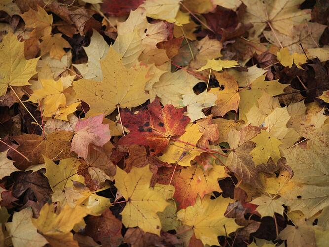 Daily Weather Forecast For Kinder