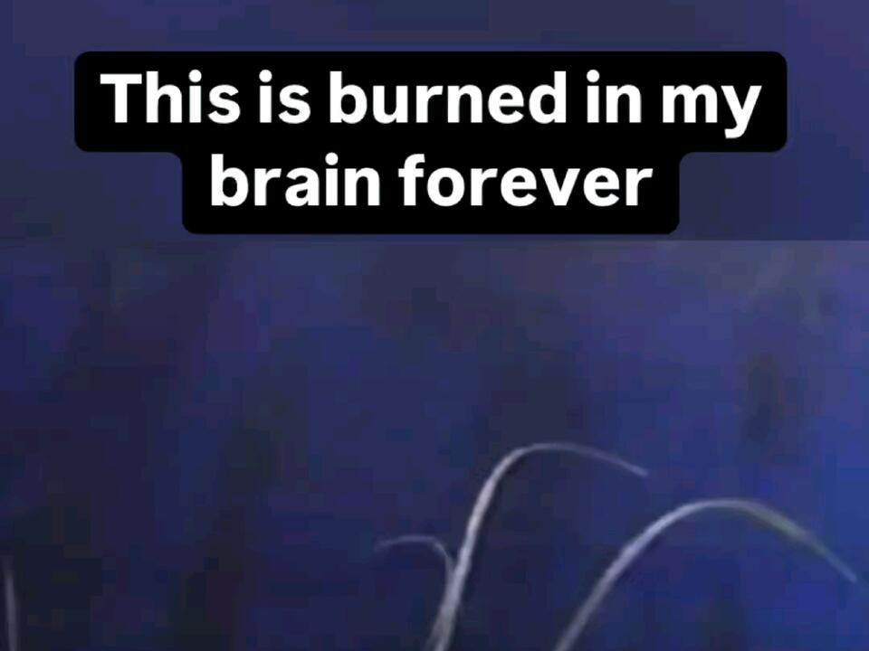 1996 hostess commercial 😂😂😂😂😂 hostess shark haha funny commercial