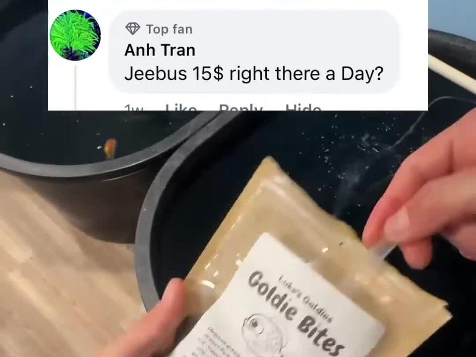 How_much_does_do_I_spend_on_my_goldfish