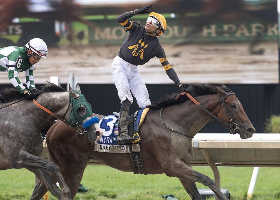 Haskell Winner Baby Vino Eyeing Travers