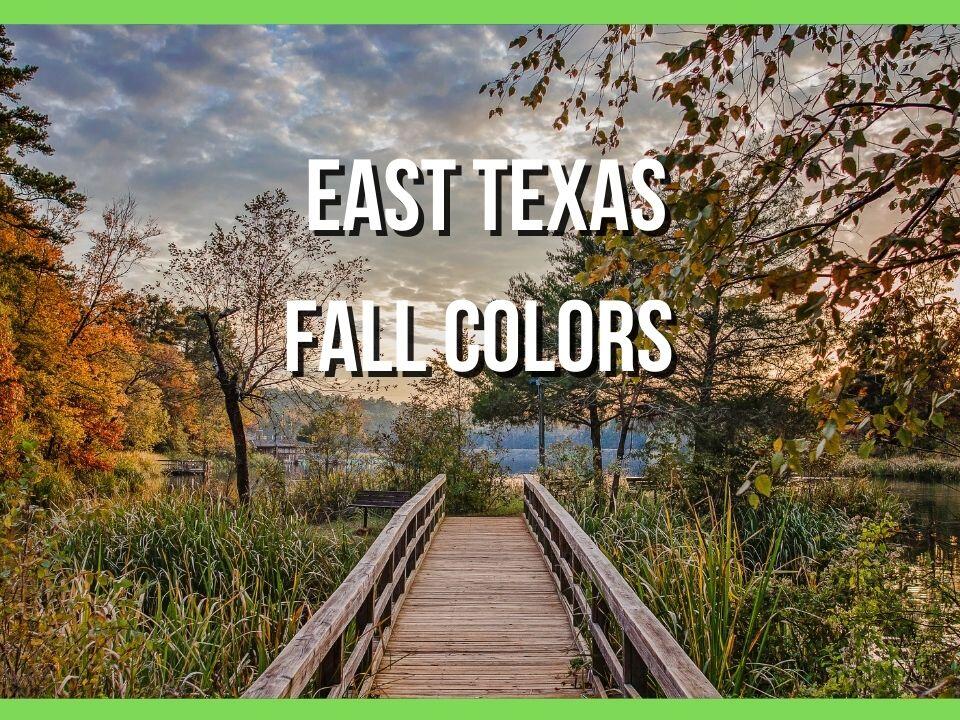 Check Out These Two Beautiful East Texas Parks for Fall Foliage