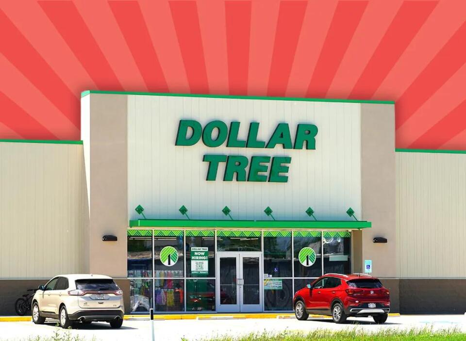 11 Best Dollar Tree Home Decor Finds Hitting Shelves This Week - NewsBreak