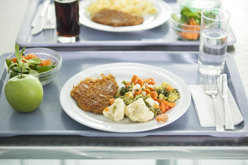 New Utah License Plate Helps Pay Down School Lunch Debt Across the ...