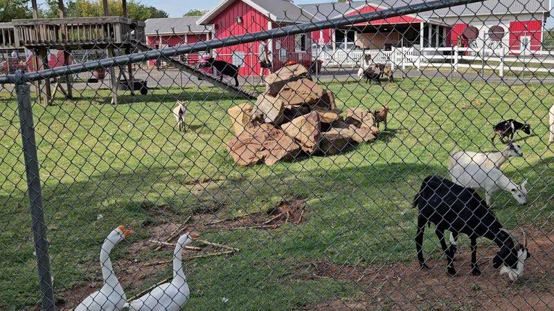 With Pony Rides, a Petting Zoo, and a Farm Train, This Oklahoma Family ...