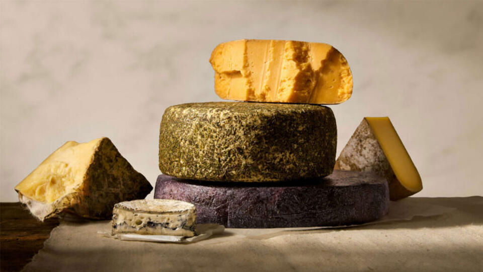 Wisconsin Leads Nation in Specialty Cheese, New Data Finds - NewsBreak