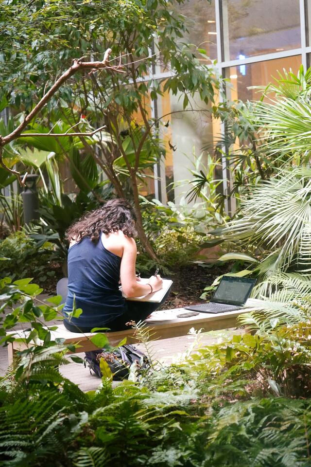 The Philosophy of New Beginnings A Reflection on Time, Growth, and