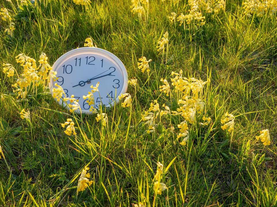 Daylight Saving Time 2024 starts soon Here’s when we’ll spring forward