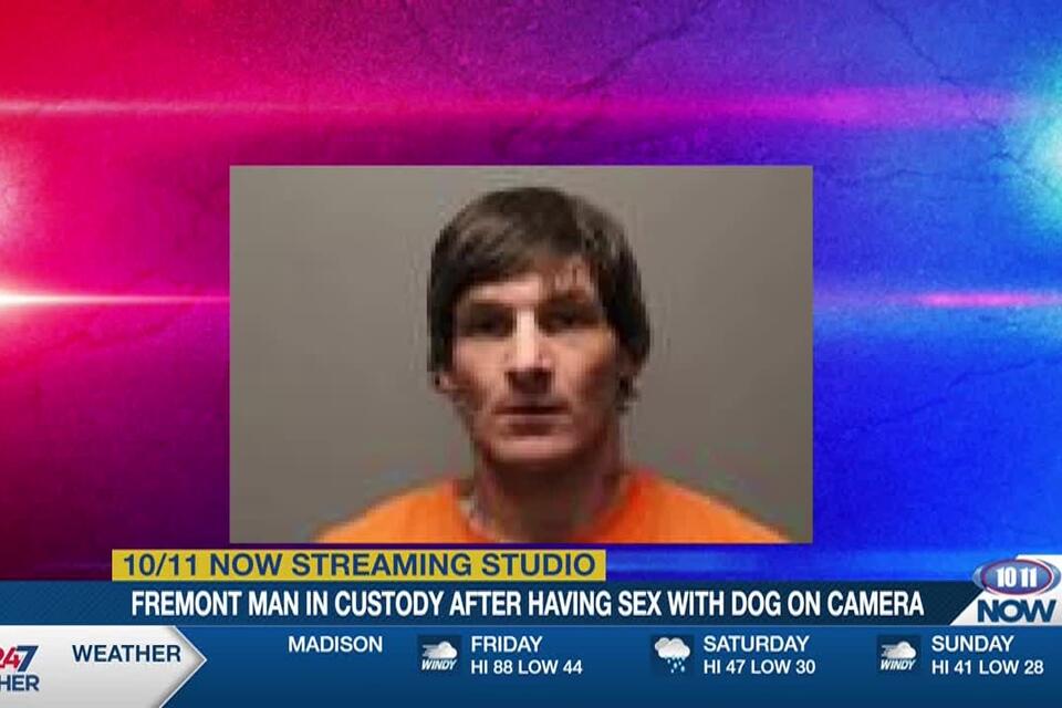 Man charged after having sex with dog in eastern Nebraska, police say - NewsBreak