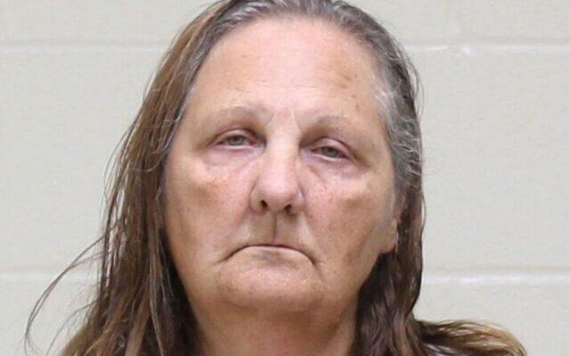 Not guilty plea made by Mason City woman arrested in Clear Lake on drug ...