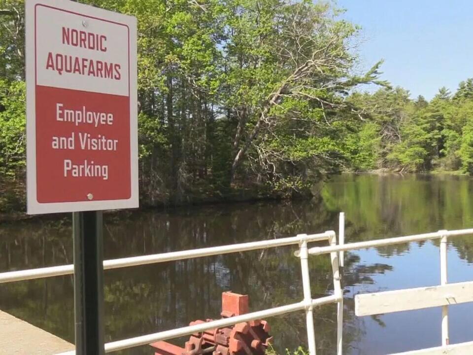 Belfast facing lawsuit over 500M fish farm