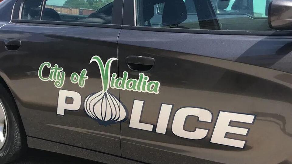 Former Vidalia police sergeant jailed on charges over Flock license ...