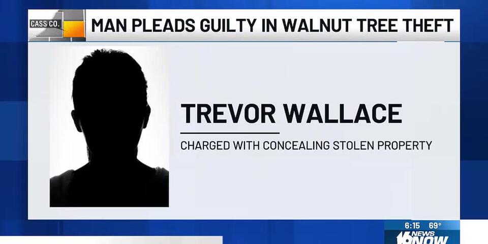 Man faces up to 20 years in prison after pleading guilty to stealing a ...
