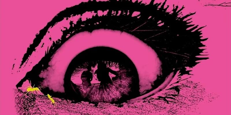 Entomological Horror Novels to Make Your Skin Crawl - NewsBreak