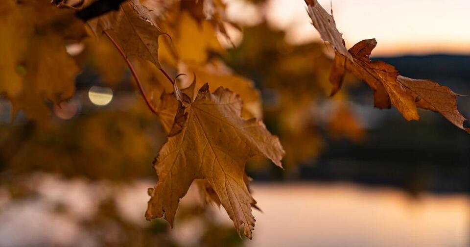 Scorpio Season Starts October 23. These Are the 4 Luckiest Signs ...