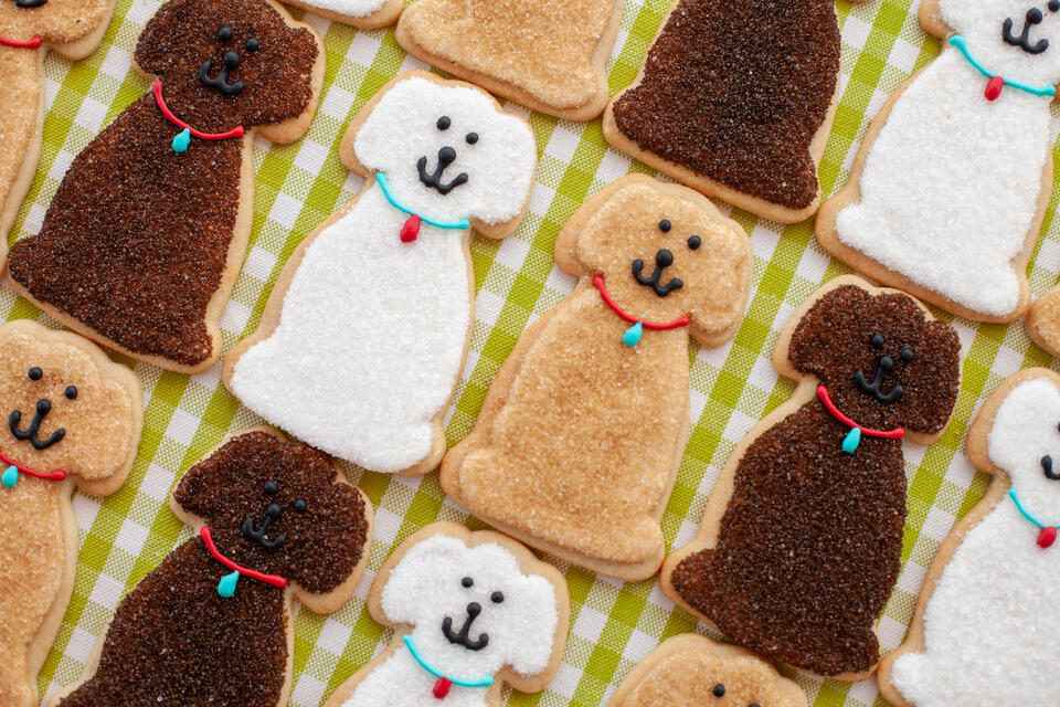 Sit. Stay. Snack. SusieCakes Is Treating People, Pups and Shelter Dogs This August