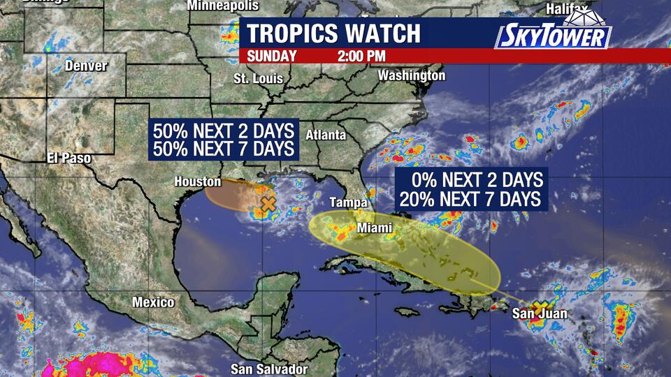 Watching Two Areas of Development