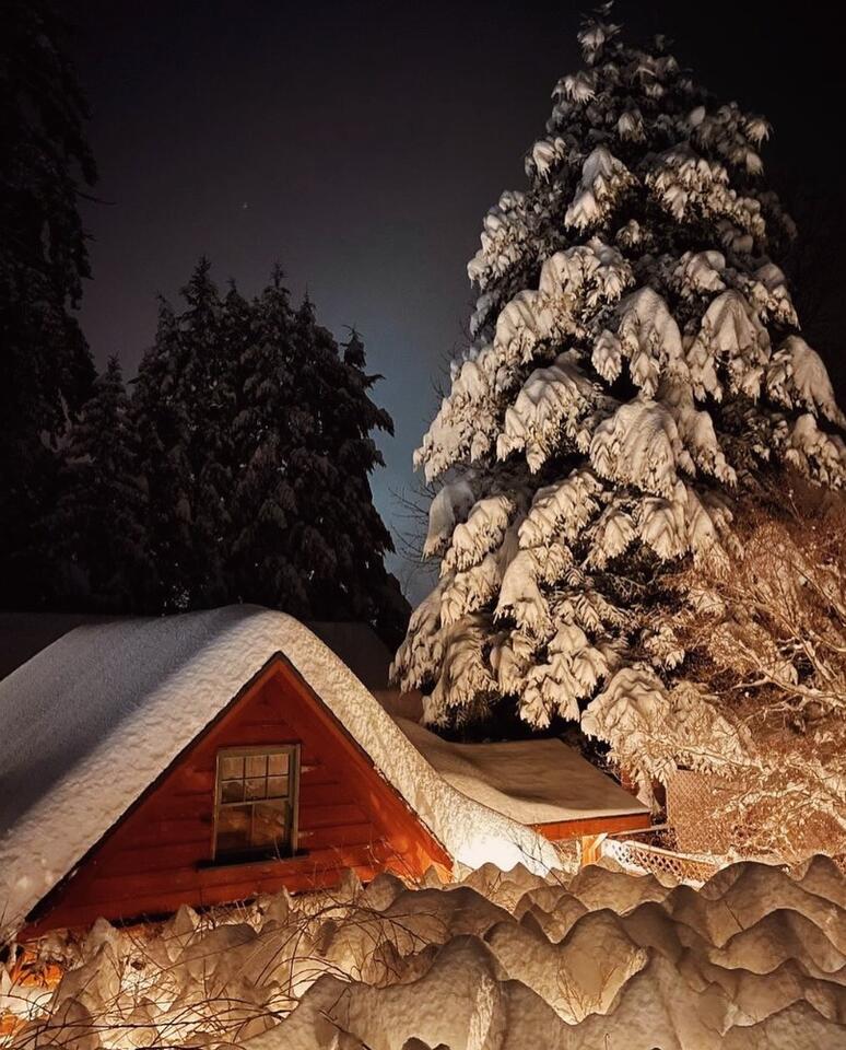💰 2026 White Salmon holiday gift guide to shop local - NewsBreak