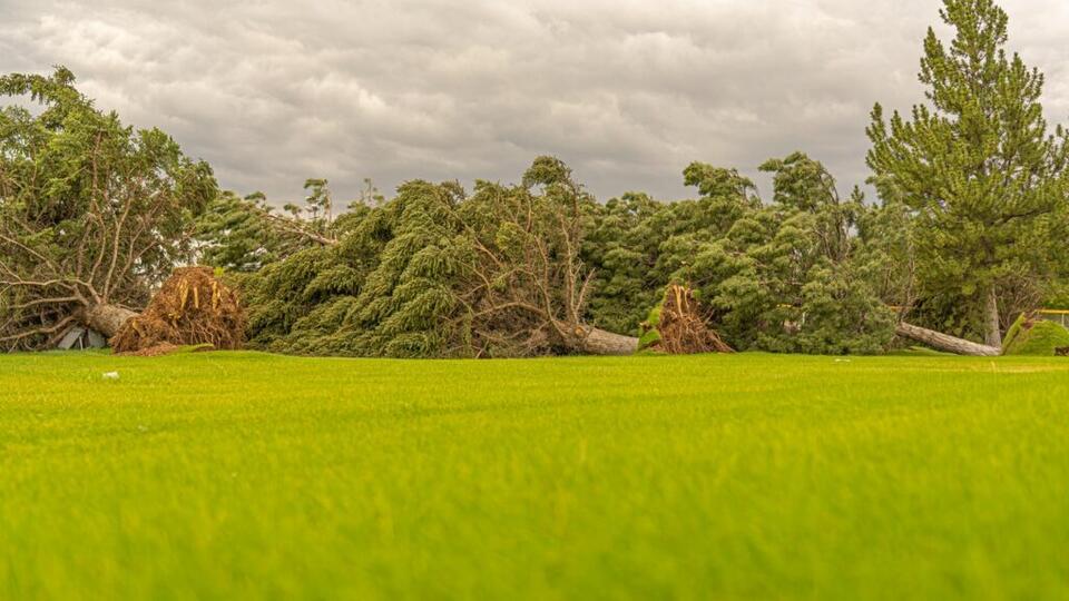 The IRS gives four Wisconsin counties hit by July storms until February ...