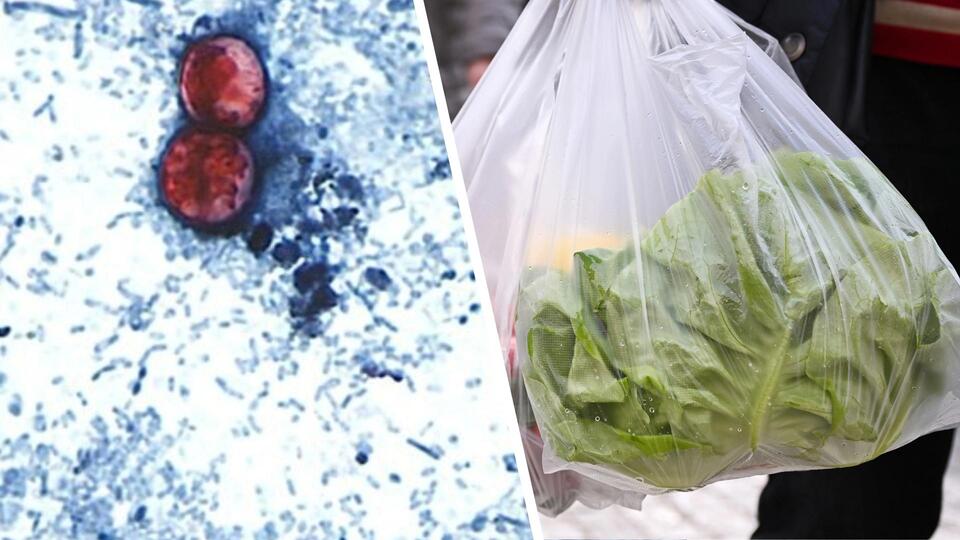 Your Morning: ‘Explosive diarrhea'-causing parasite prompts Taco Bell to pull lettuce from some stores