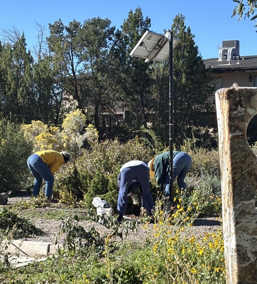 On The Job In White Rock: Volunteers Hard At Work During Fall Cleanup ...