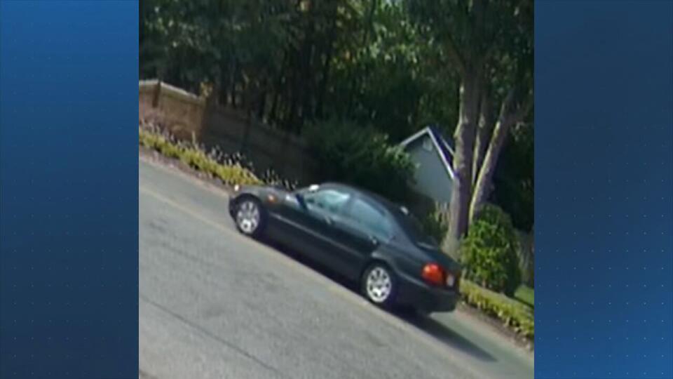 Holbrook police seek public’s help identifying vehicle involved in hit-and-run that injured teen - NewsBreak