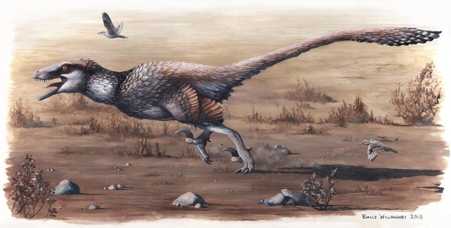 The Top 5 Deadliest Raptors That Could Even Face Off With a T Rex ...