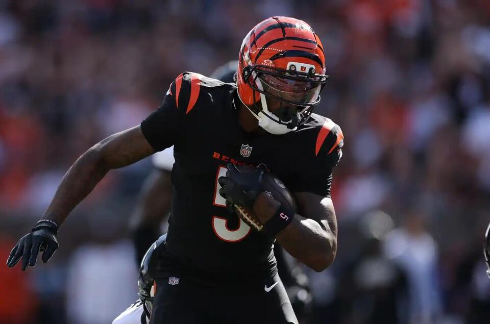 Is Bengals WR Tee Higgins Playing Against Dolphins? Final Status ...