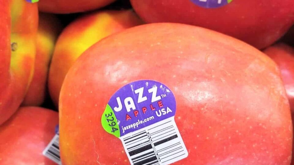 Things to Know About Jazz Apples Before You Put Them in Your Cart ...