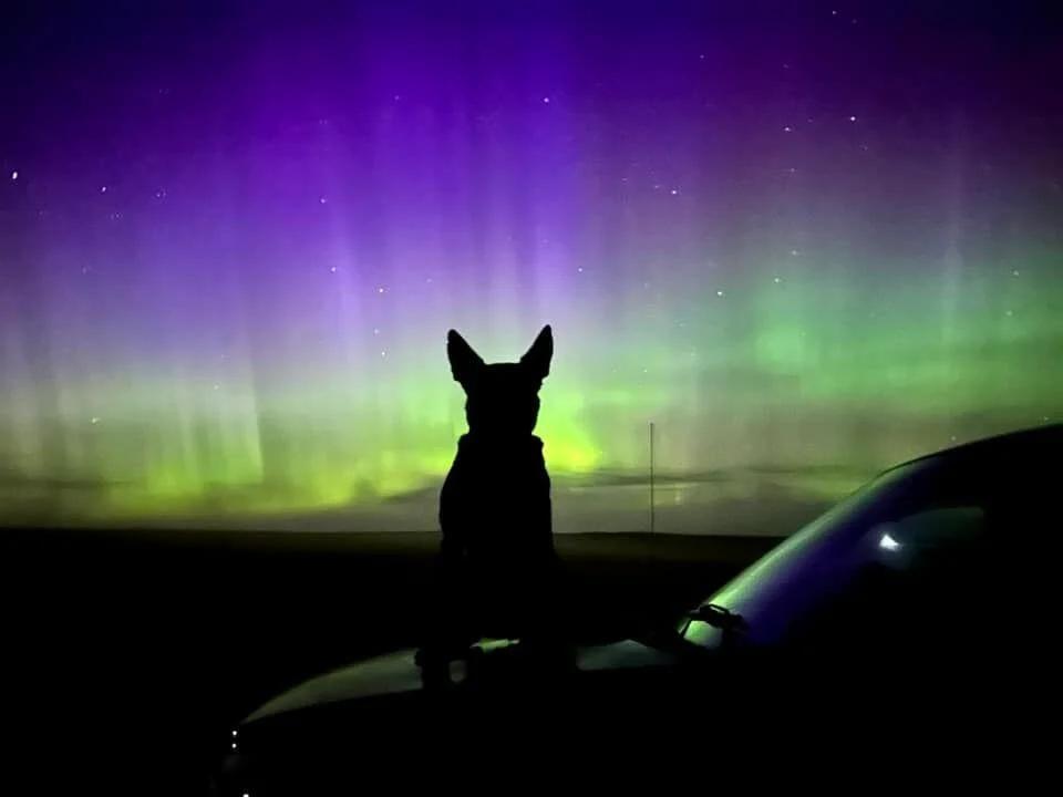 Major Northern Lights Show See 75 photos that you shared with us