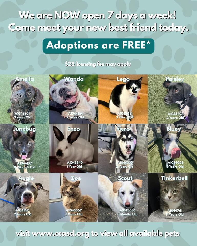 Contra Costa Animal Shelter Now Open Daily - NewsBreak