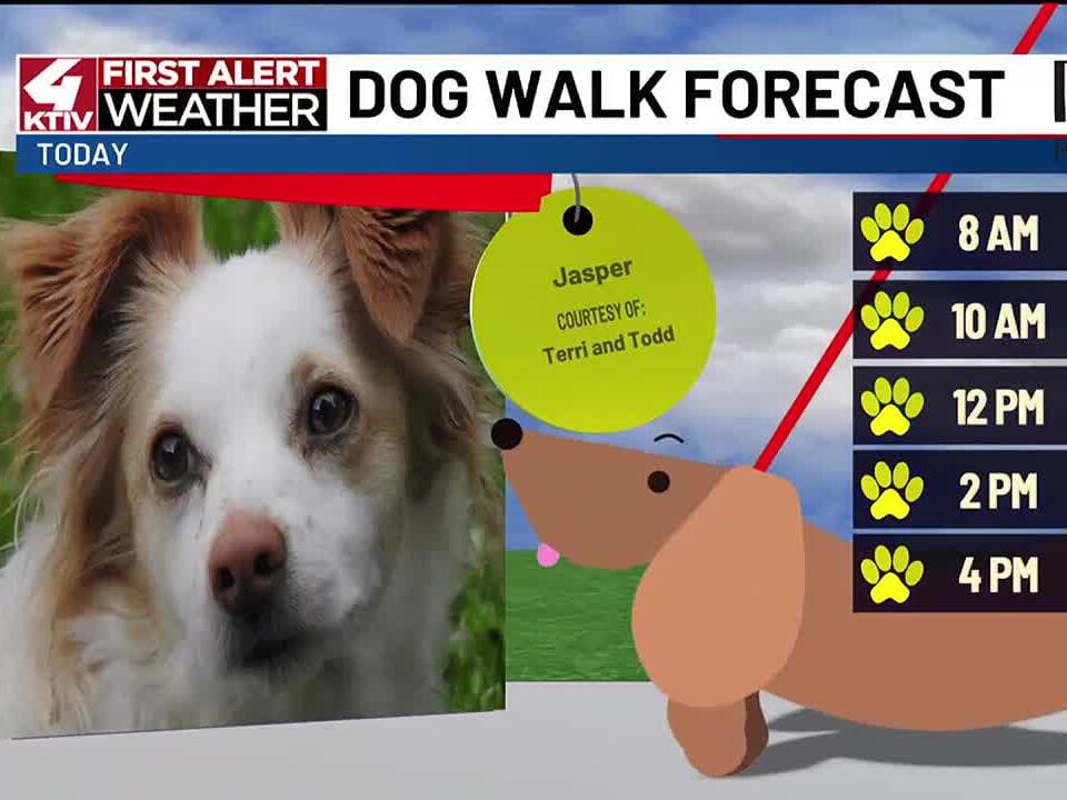 Dog Walk Forecast Jasper
