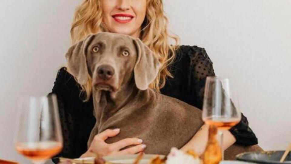 <div>You're Invited: Meet Adorable Pups While Learning About Adopting & Fostering Dogs in Massachusetts - NewsBreak</div>
