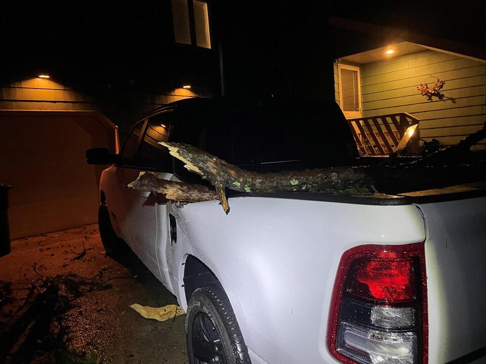 NWS crews assess storm damage in New Jersey for possible tornadoes