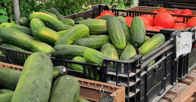 📅 Weekly Carbondale Farmers Market Every Thursday - NewsBreak