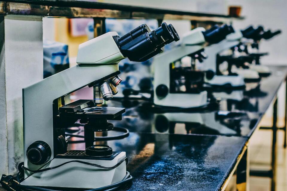 New K-12 science curriculum scrutinized; December vote by Board of Ed ...