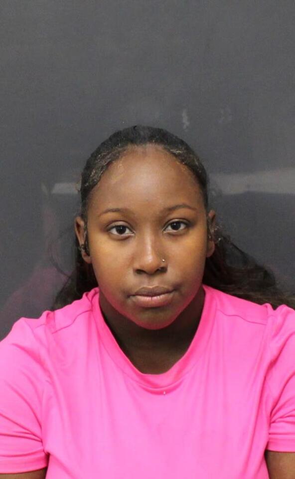 LSU student, fiancé killed after being struck by vehicle on Nicholson ...