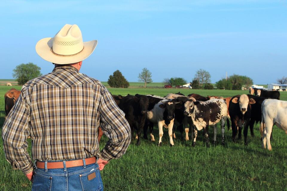 This Montana Rancher Says He's Had Enough Of Trump - NewsBreak