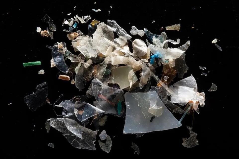 Industry Knew for Decades That Microplastics Could Infiltrate Human ...