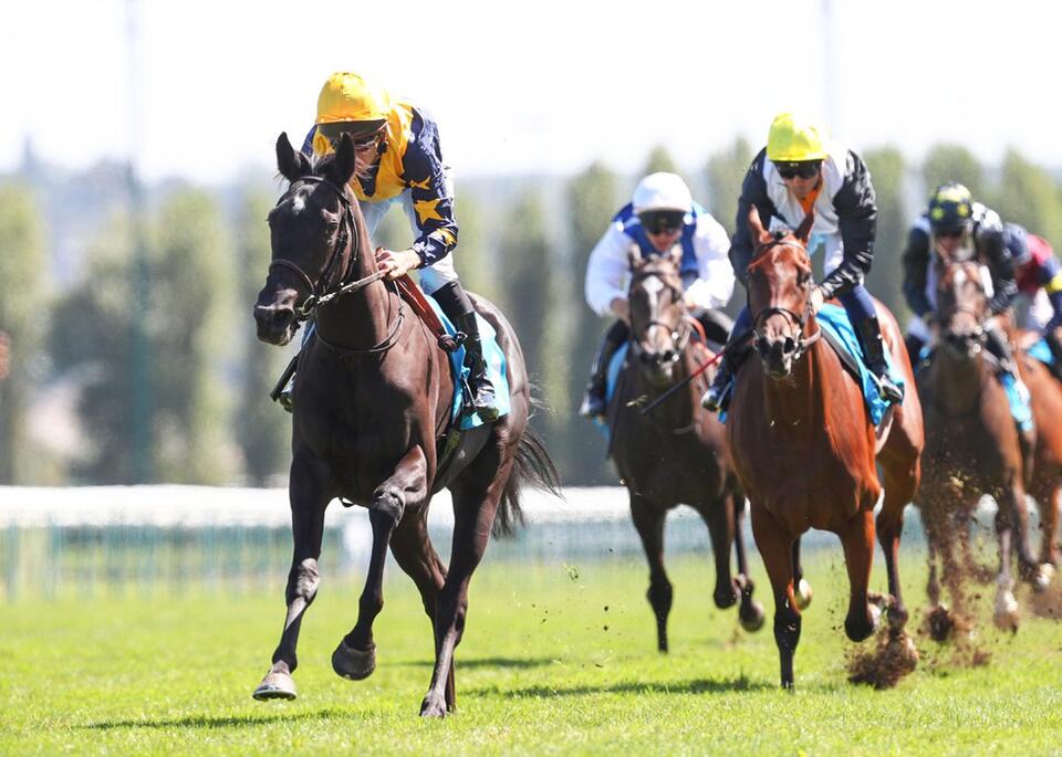 Woot Woot Has Breeders' Cup Option After Making All For Calvados Triumph At Deauville