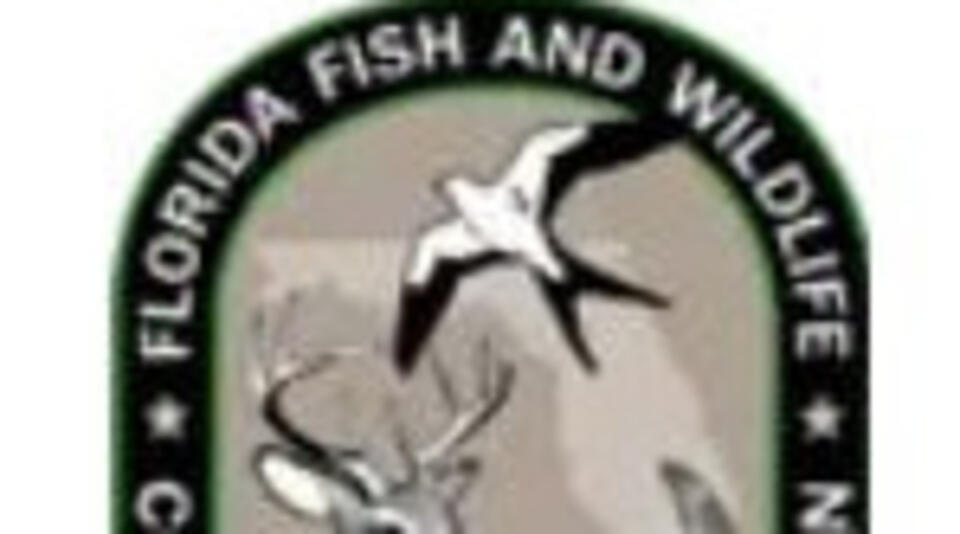 Palm Beach resident shot and bashed alligator with hammer, police say ...